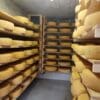 Gailtaler Almkäse