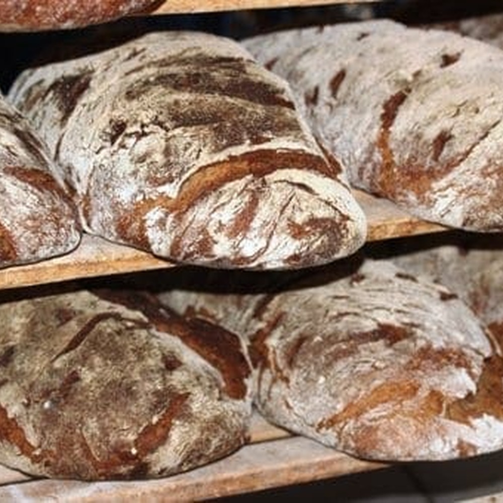 Scheiber’s Steinofenbrot ohne Körner – 500g, 1000g, 2000g