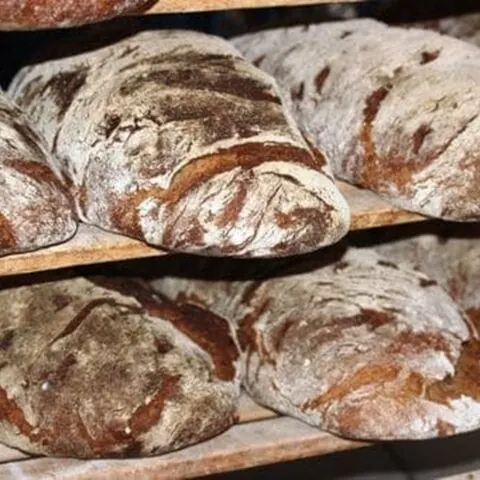 Scheiber’s Steinofenbrot ohne Körner – 500g, 1000g, 2000g