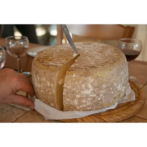 Mölltaler Bergkäse