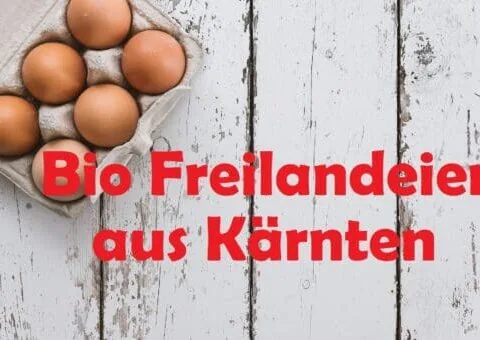 Bio Freilandeier