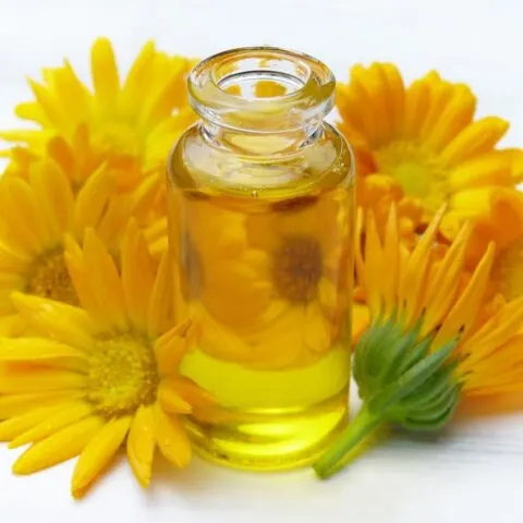 Ringelblumensalbe ohne Konservierungsmittel 50ml